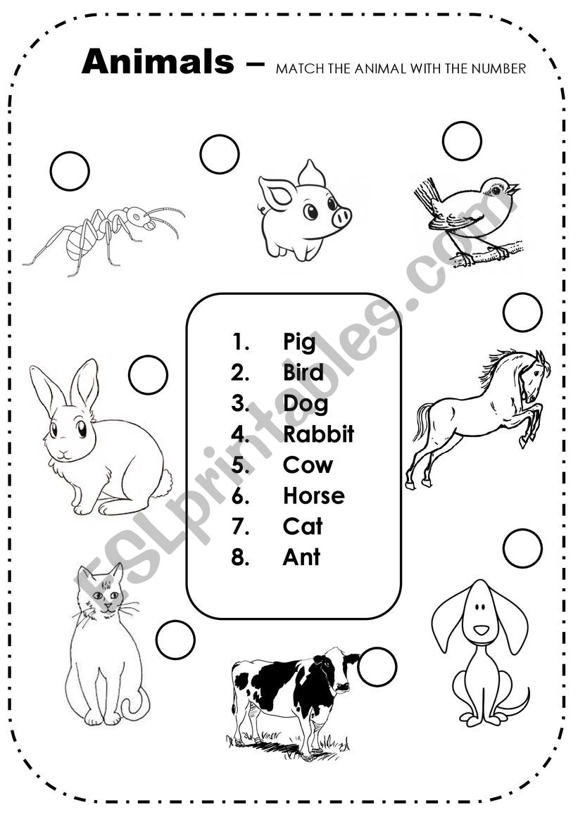 Animals - Match the number worksheet