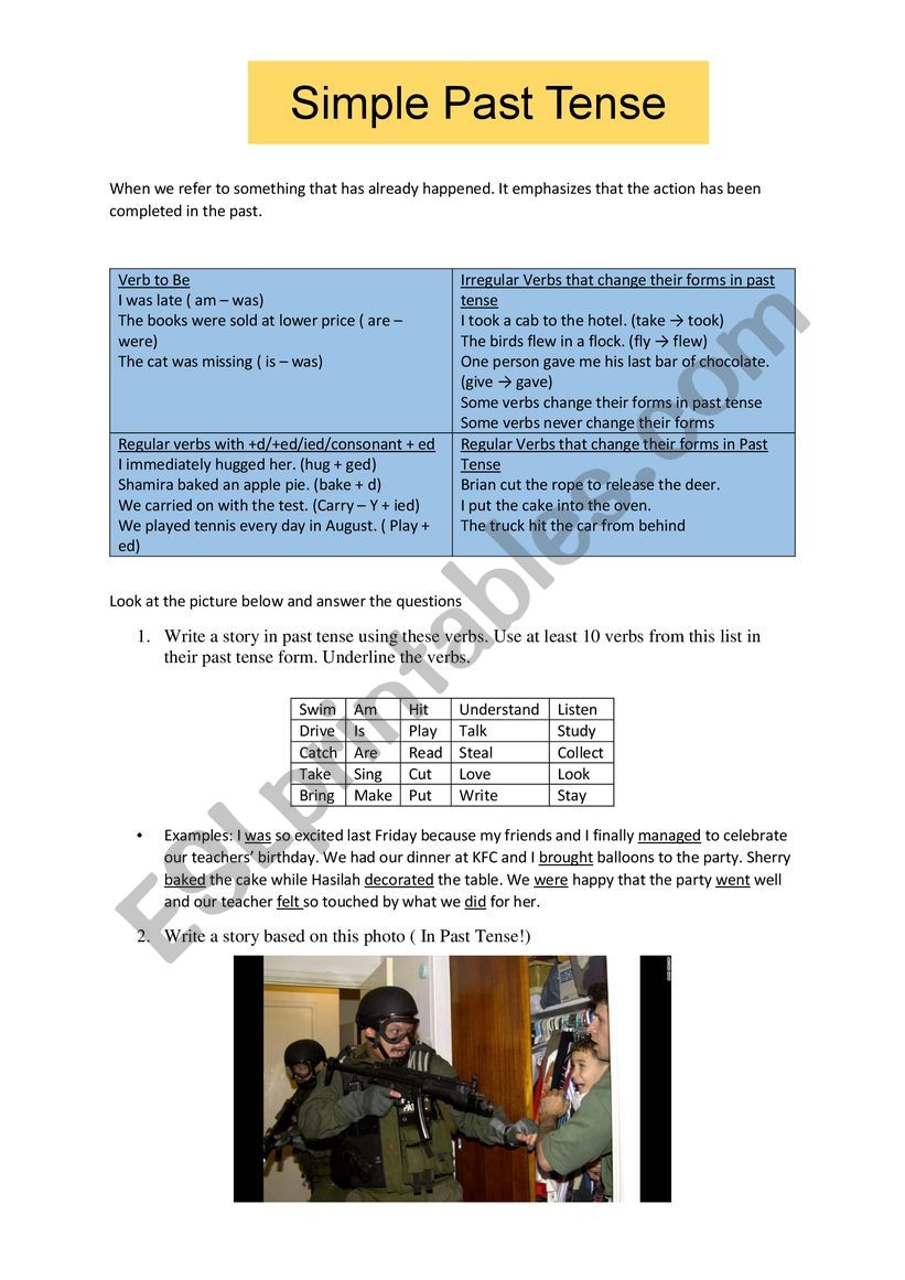 Grammar: Past Simple Tense worksheet