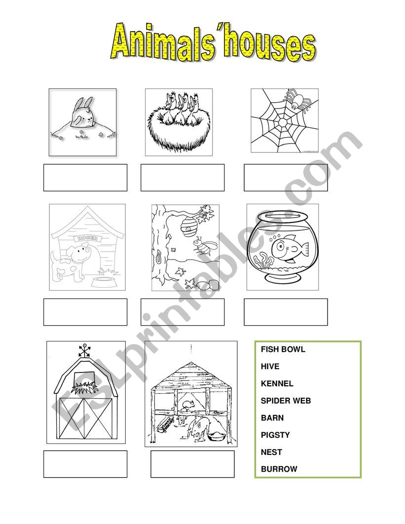 Animals house worksheet