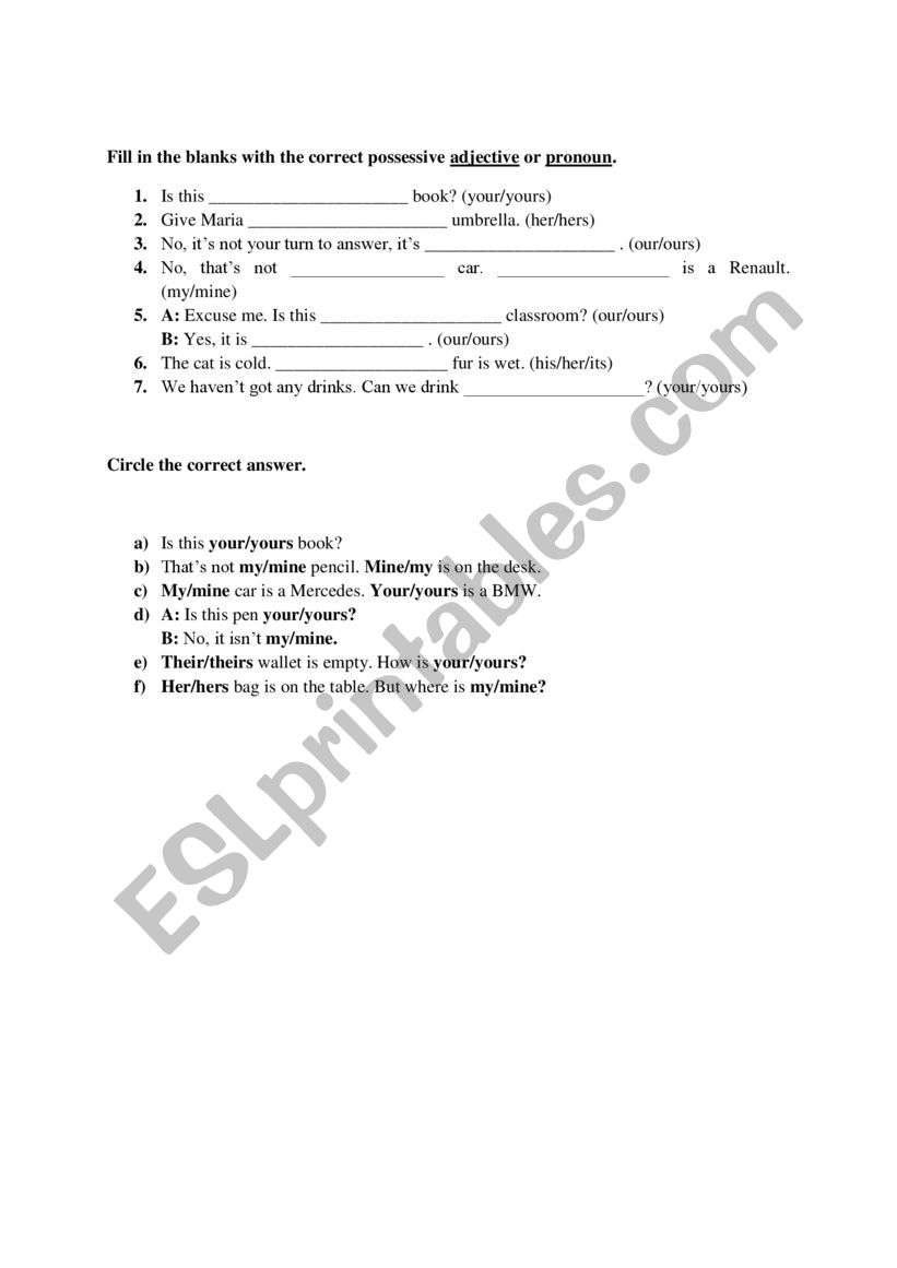 Possessive Adjectives, Possessive Pronouns