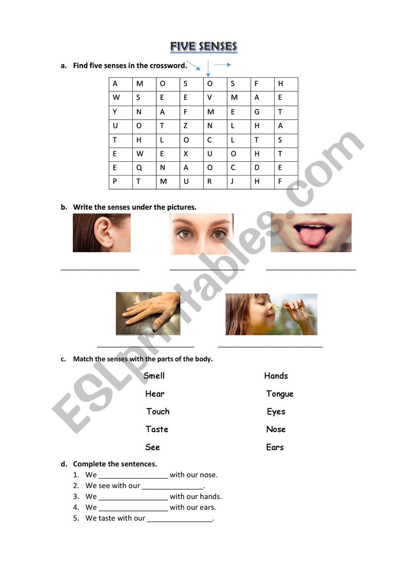 Five senses worksheet