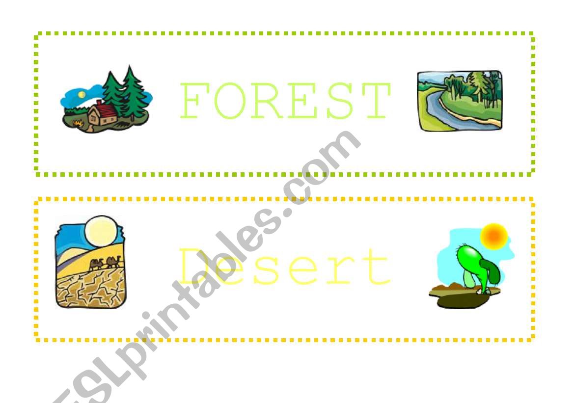Places Cards + Animal Cards worksheet