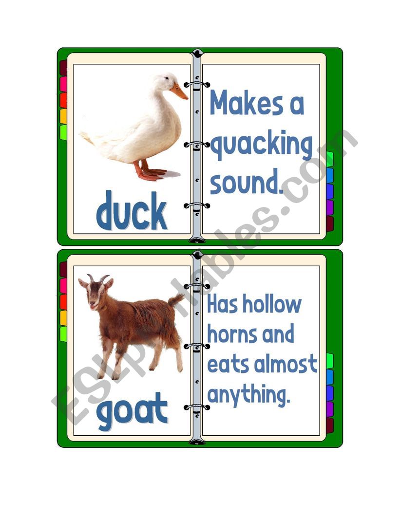 Flashcards - Domestic Animals With Descriptions 1