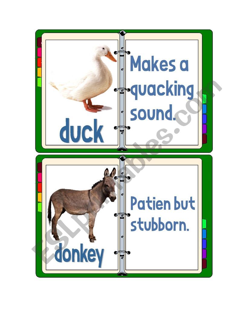 Flashcards - Domestic Animals With Descriptions 2