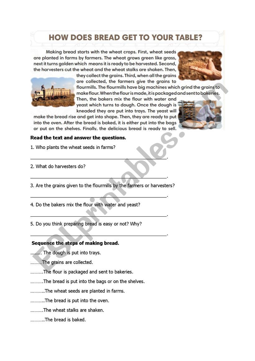 how to make bread worksheet
