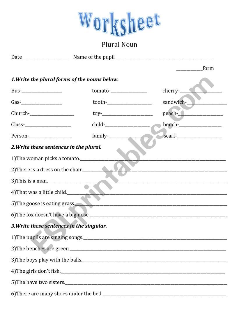 Worksheet -Plural of Nouns worksheet