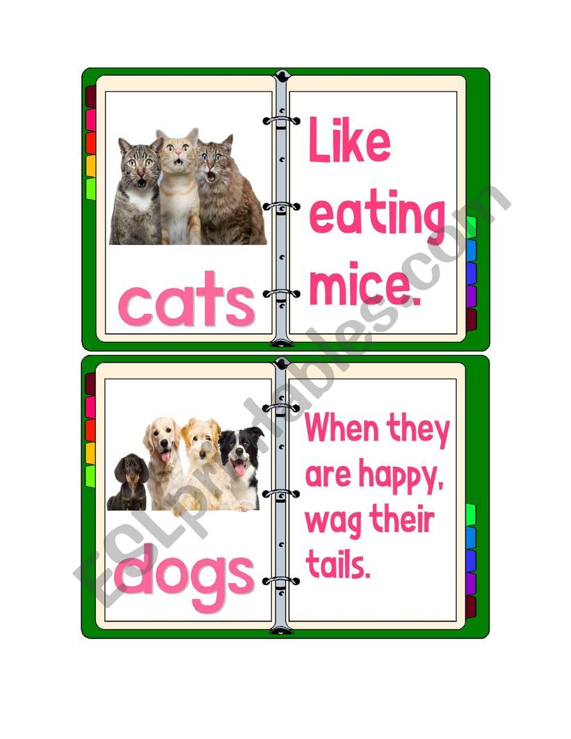 Flashcards - Pets With Descriptions 1