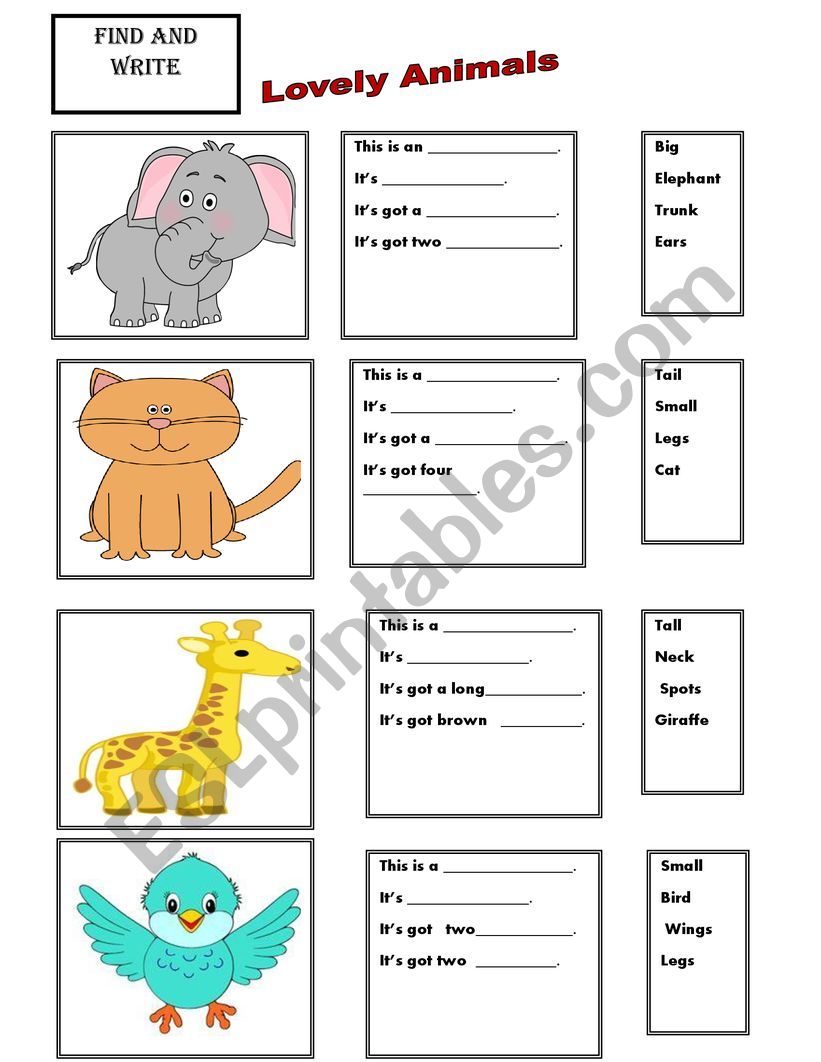 Lovely animals worksheet