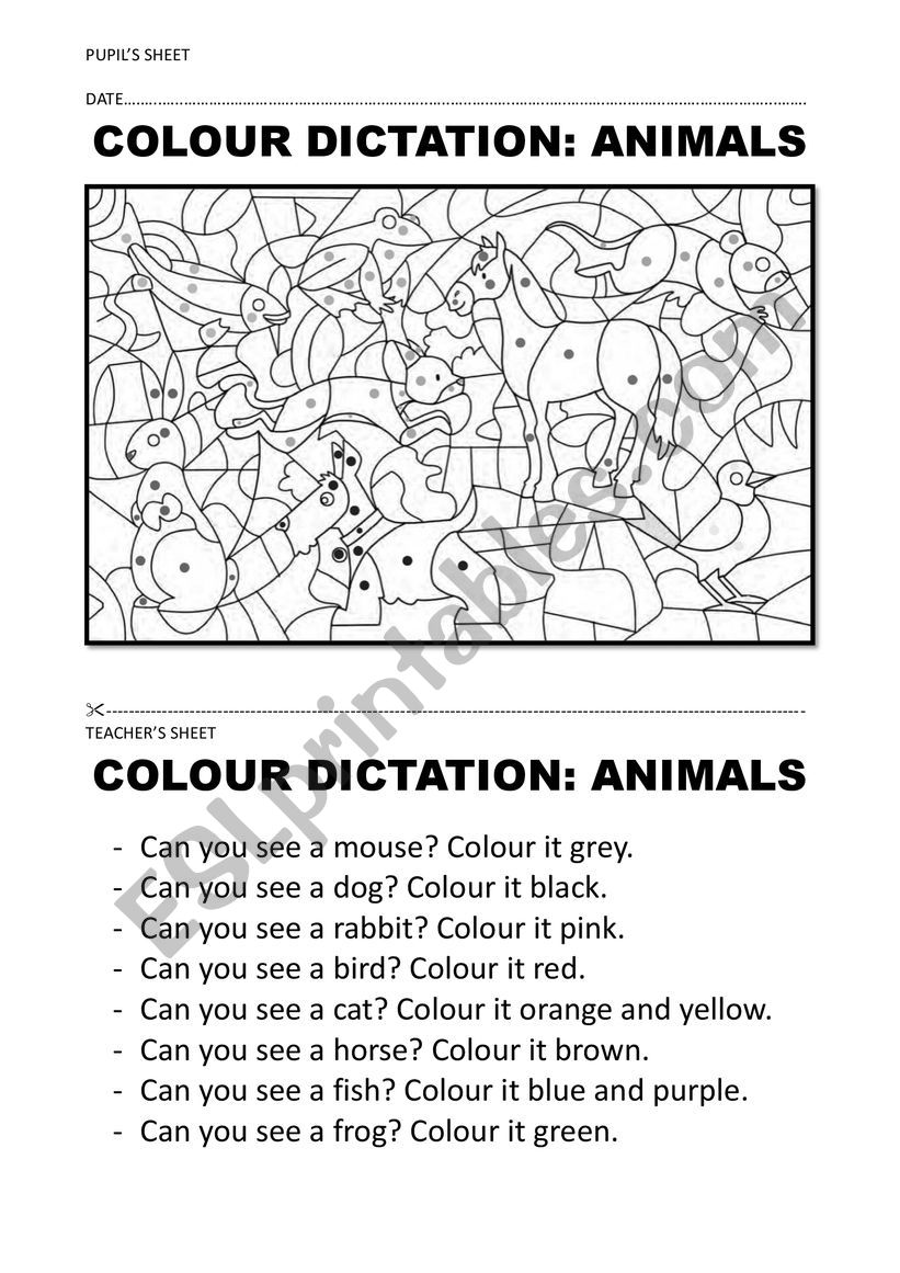 COLOUR + ANIMAL DICTATION worksheet