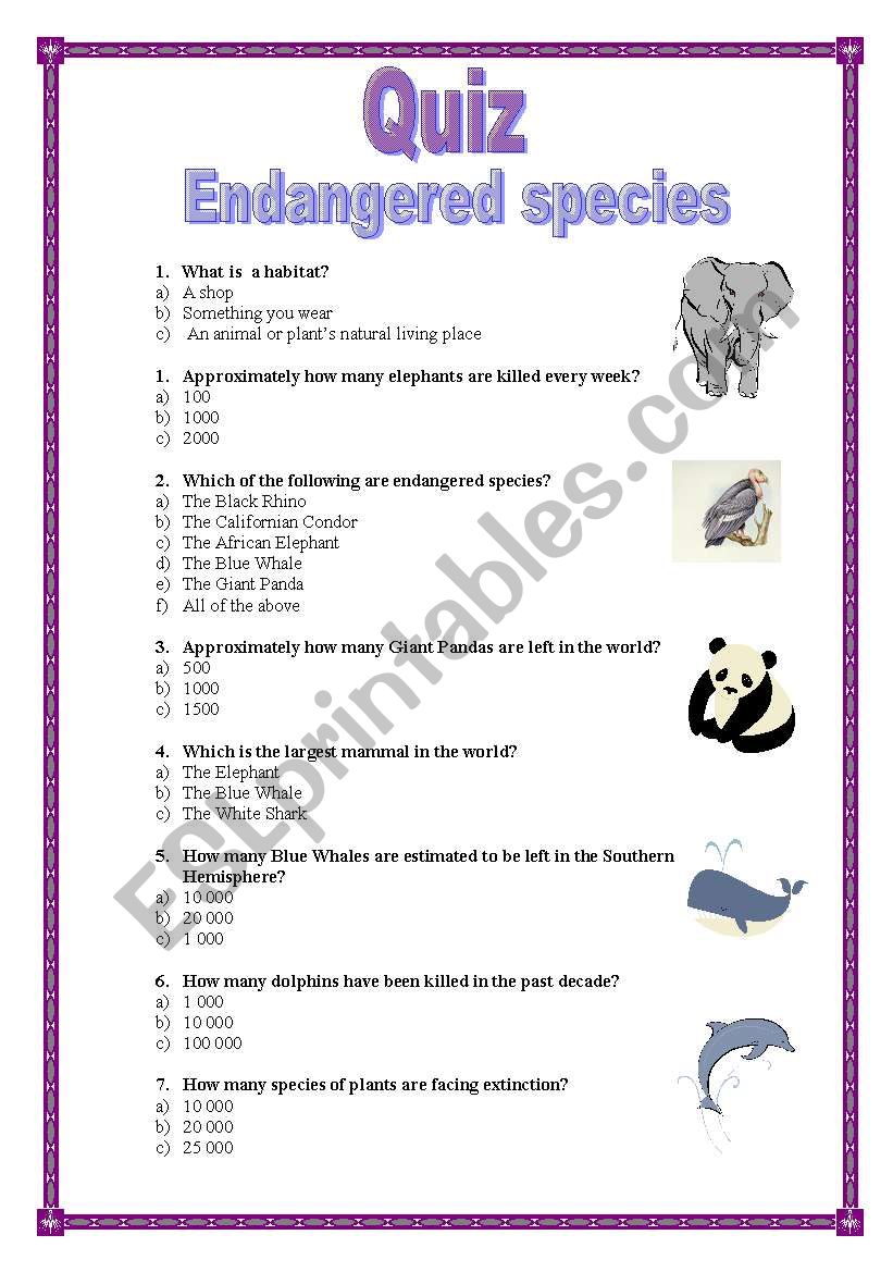 Quiz (15.08.08) worksheet