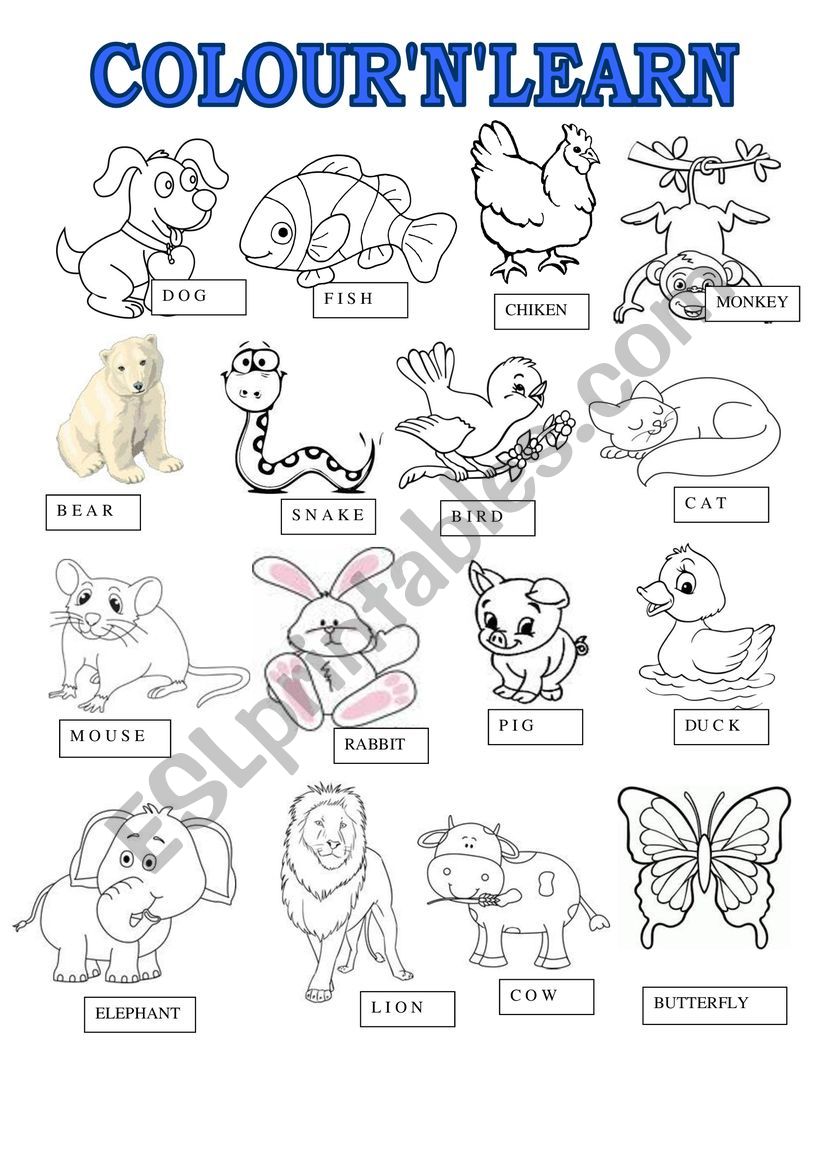 Animals learncolour worksheet