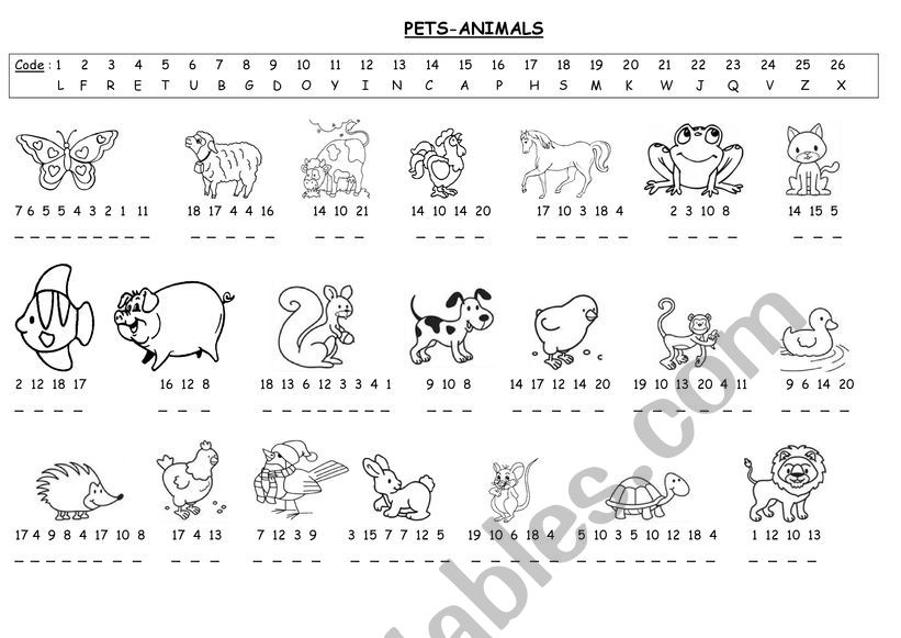 PETS-ANIMALS worksheet