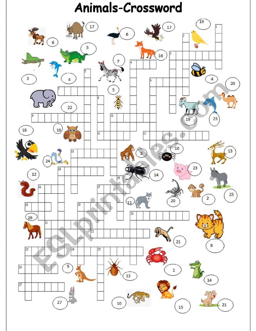 ANIMALS  crossword part 3 of a 3 set exercise worksheet