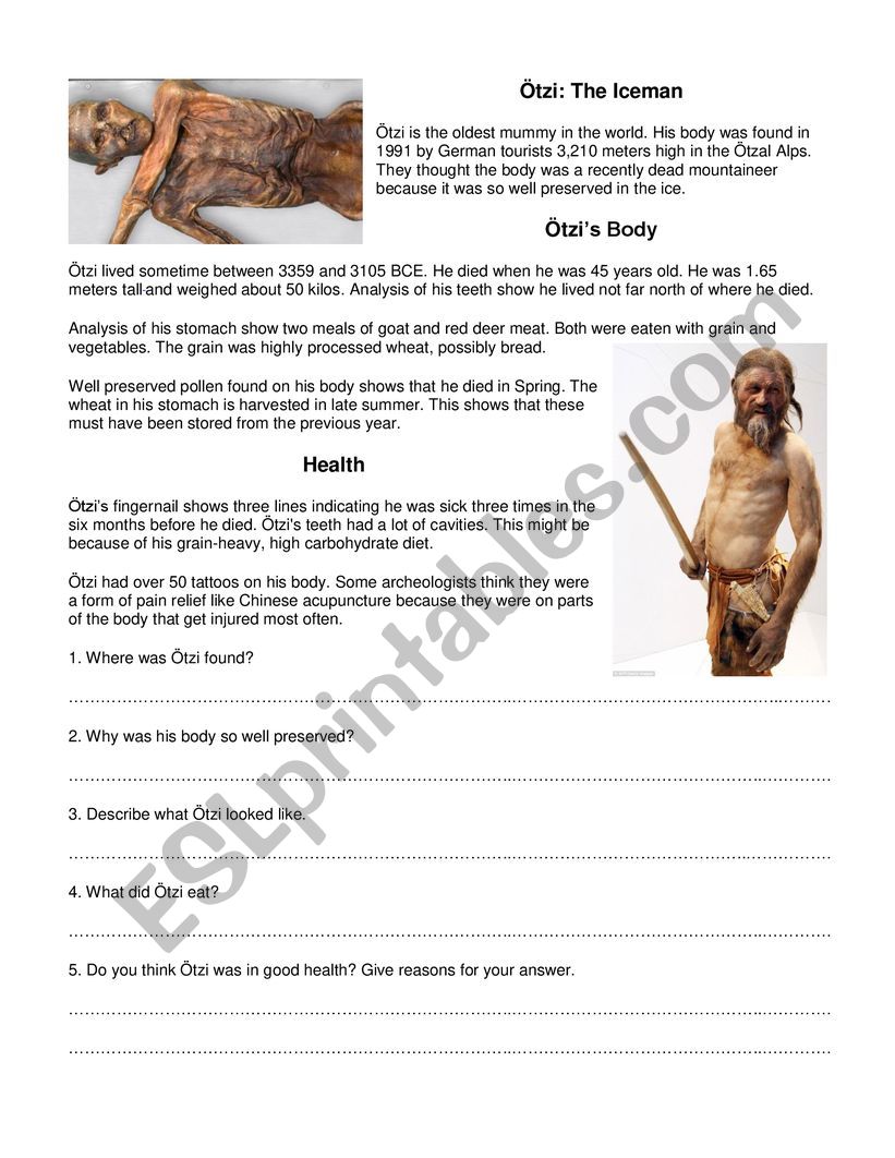 Otzi The Iceman worksheet