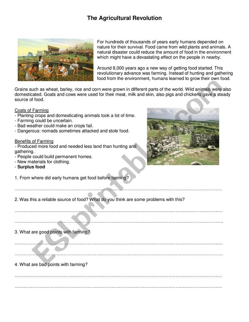 The Agricultural Revolution worksheet