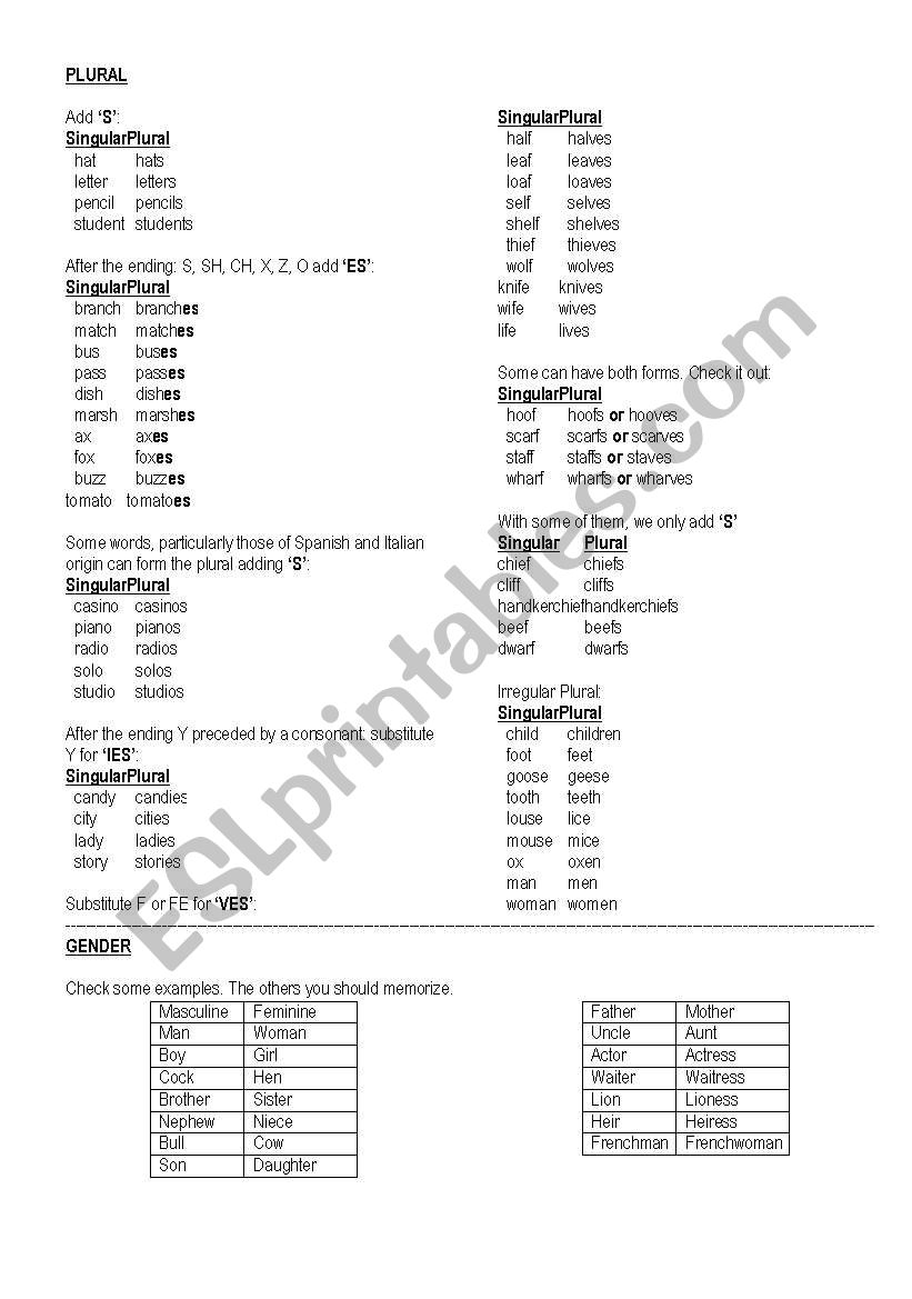 Plural and gender worksheet