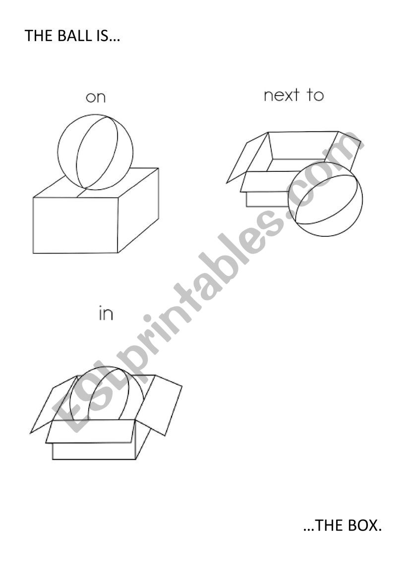 positions worksheet