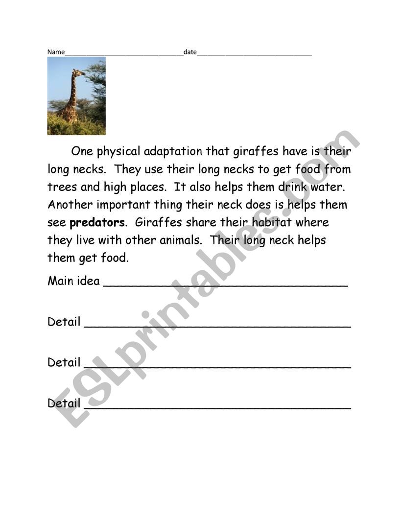 Main idea animal adaptations worksheet