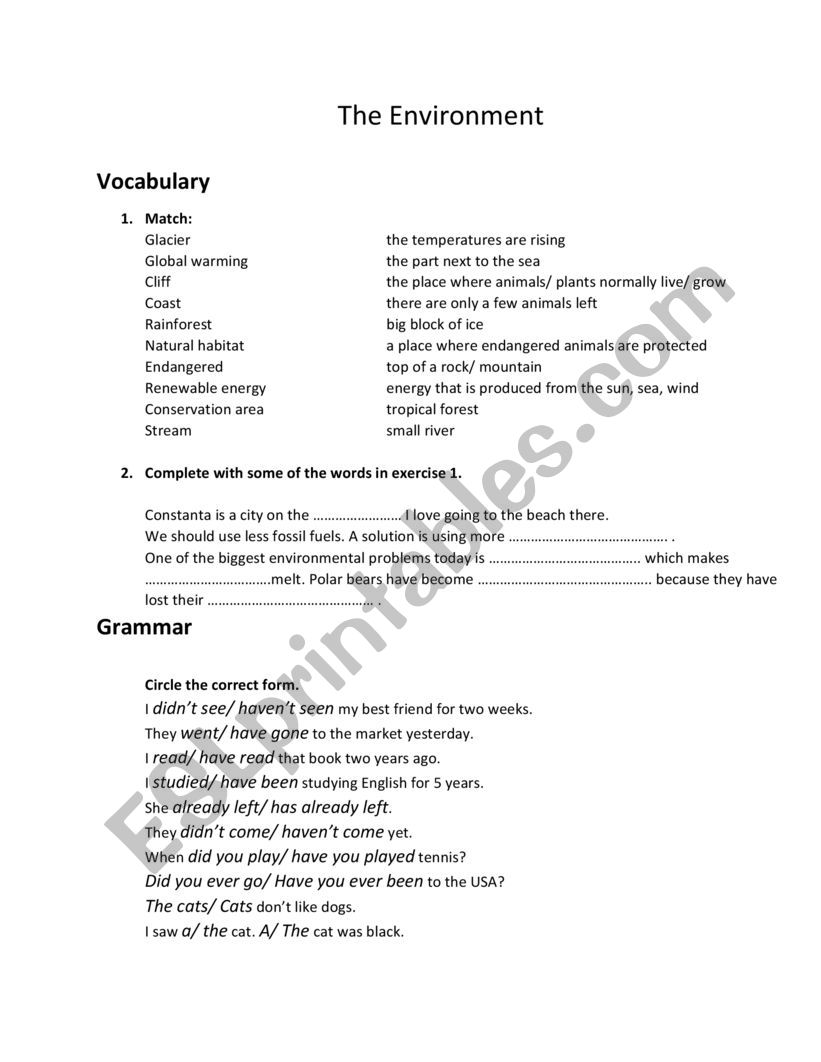 The environment worksheet