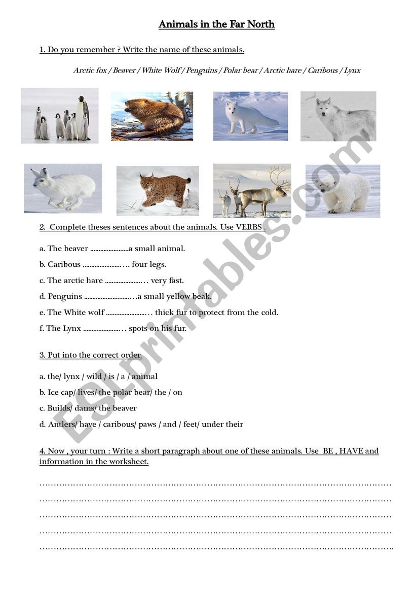 ANIMALS IN THE NORTH worksheet