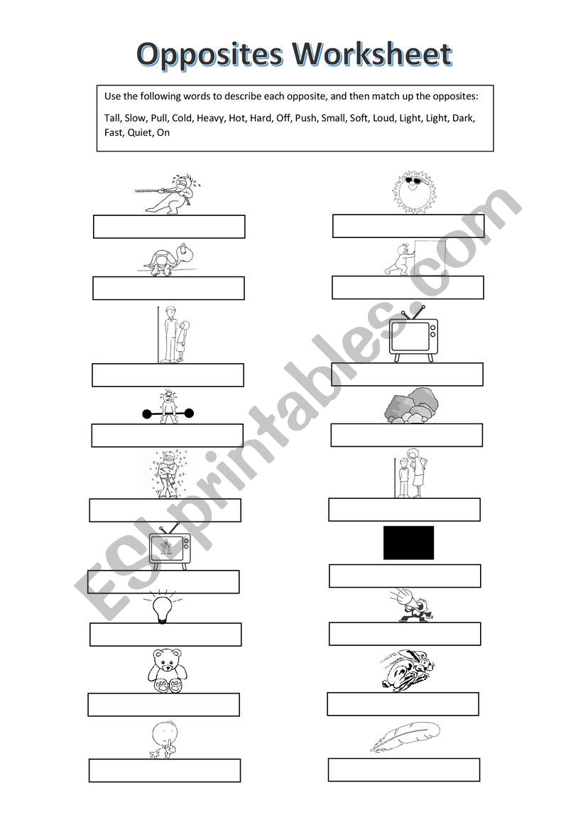 Opposites Worksheet worksheet