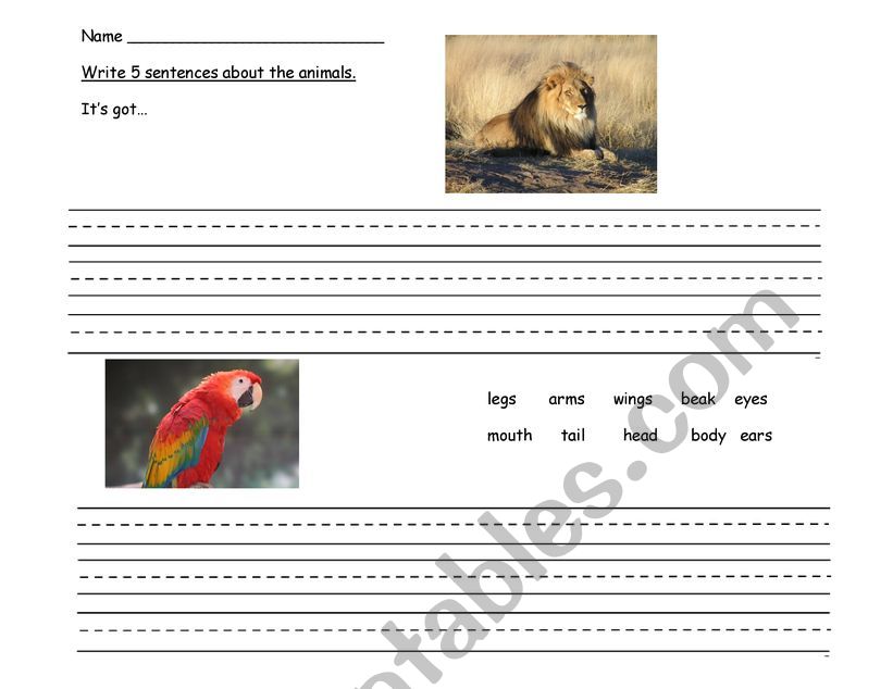 animals it has got worksheet
