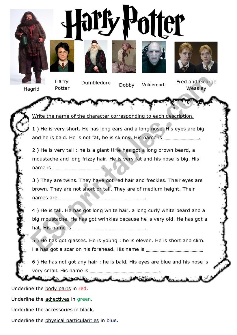 physical description harry potter characters