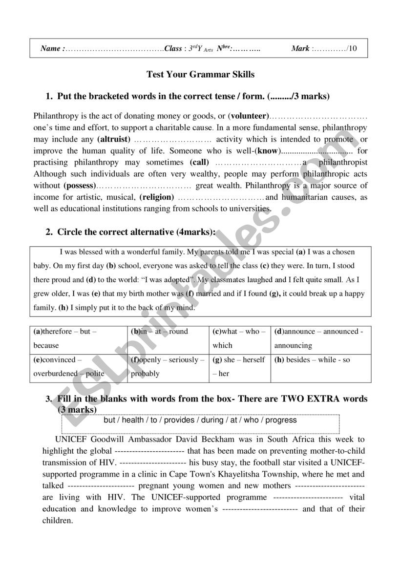 Test your Grammar Skills worksheet