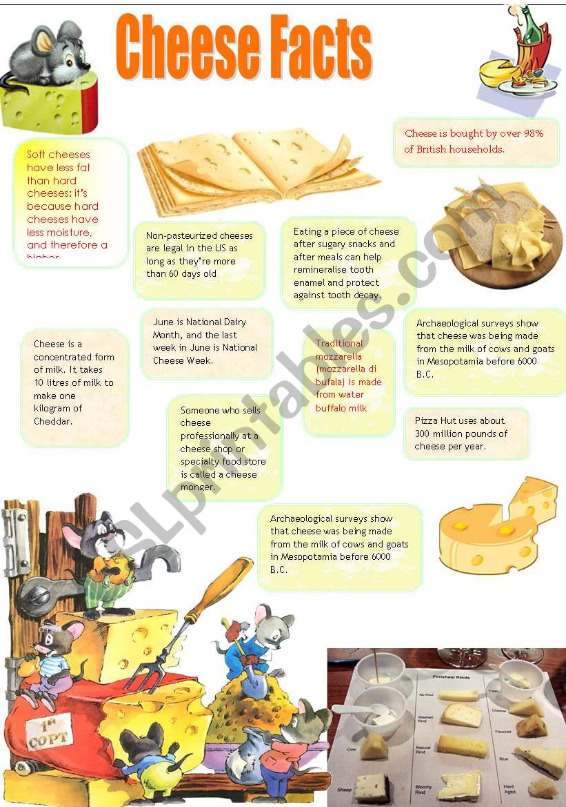 Lovely Cheese (14.08.08) worksheet