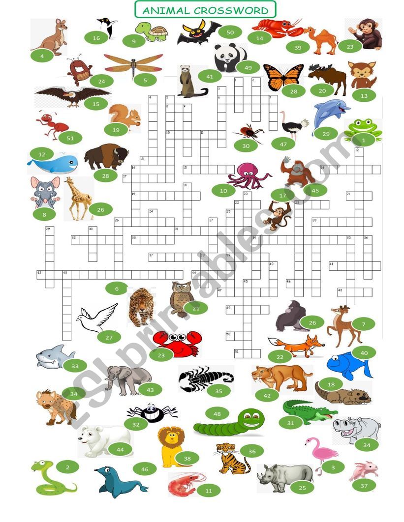 ANIMALS   CROSSWORD 3 OF 3 exercise set  ***ANSWER KEY INCLUDED***