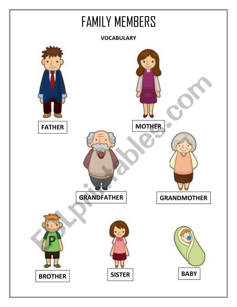 FAMILY MEMBERS VOCABULARY worksheet