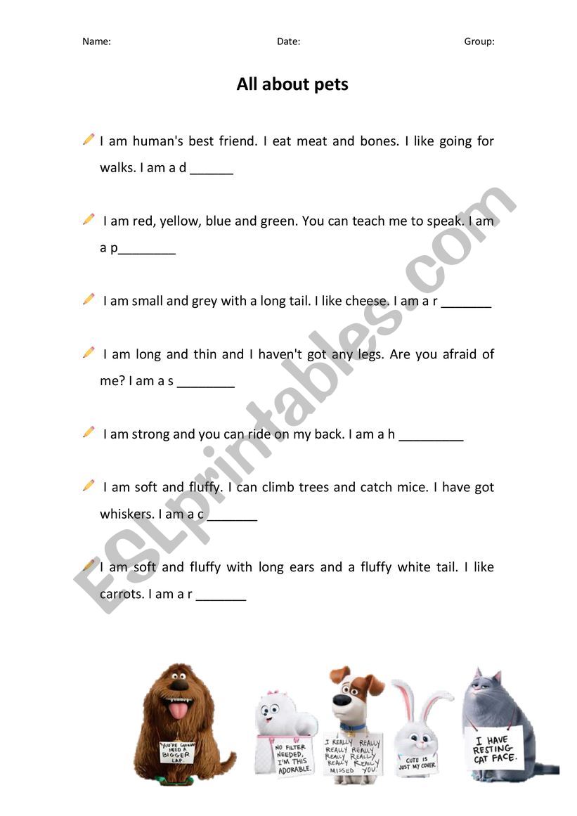 All about pets worksheet