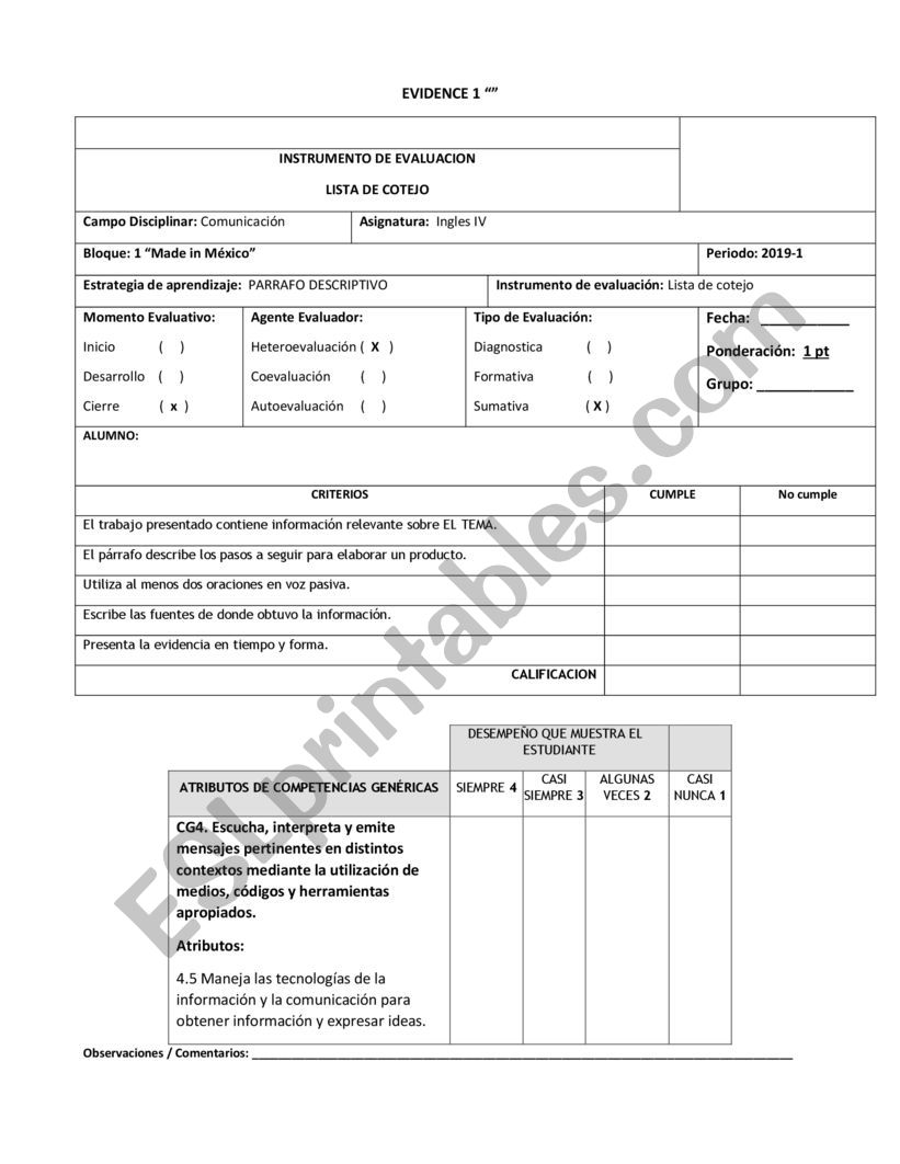 EVALUATION FROMATS worksheet