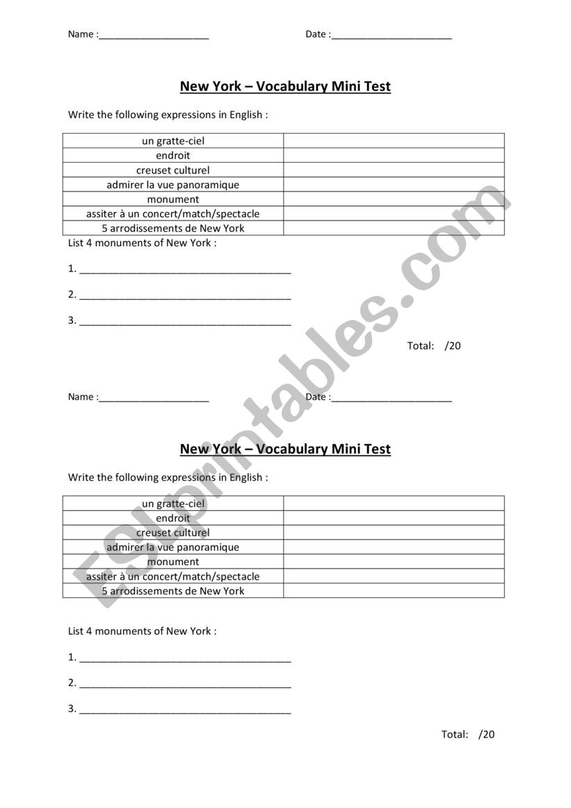 New York Mini Test worksheet