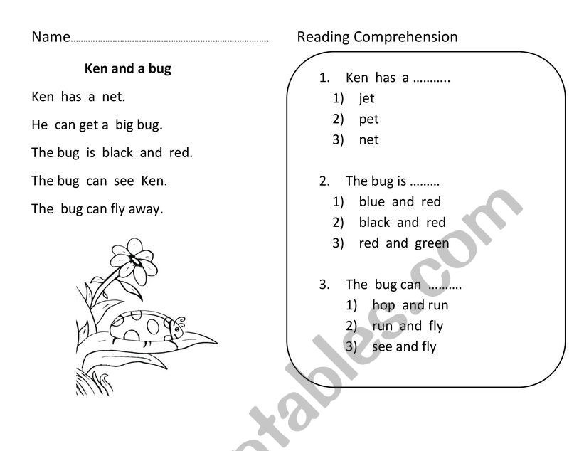 Reading comprehension for Phonics