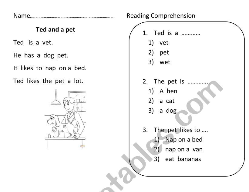 Reading comprehension for Phonics