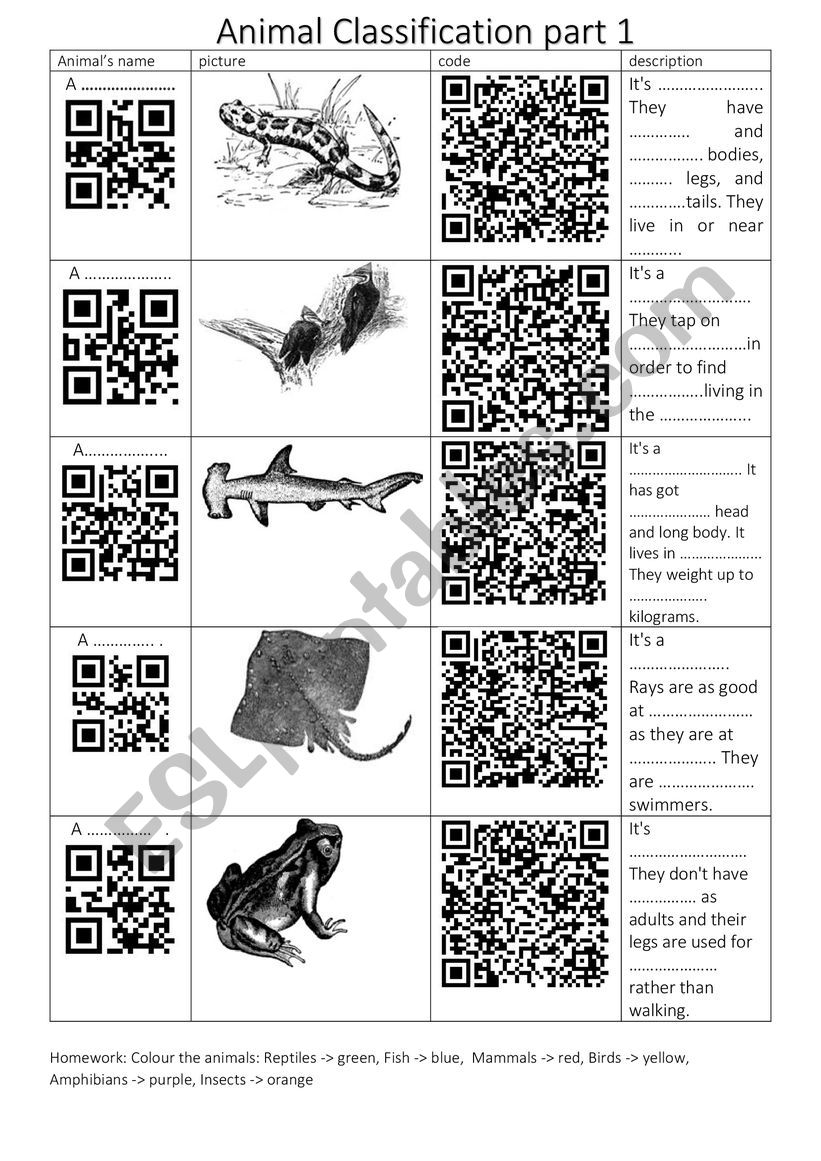 Animal Classification worksheet