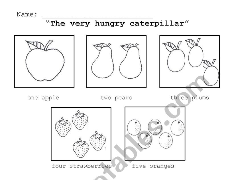 The very hungry caterpillar vocabulary