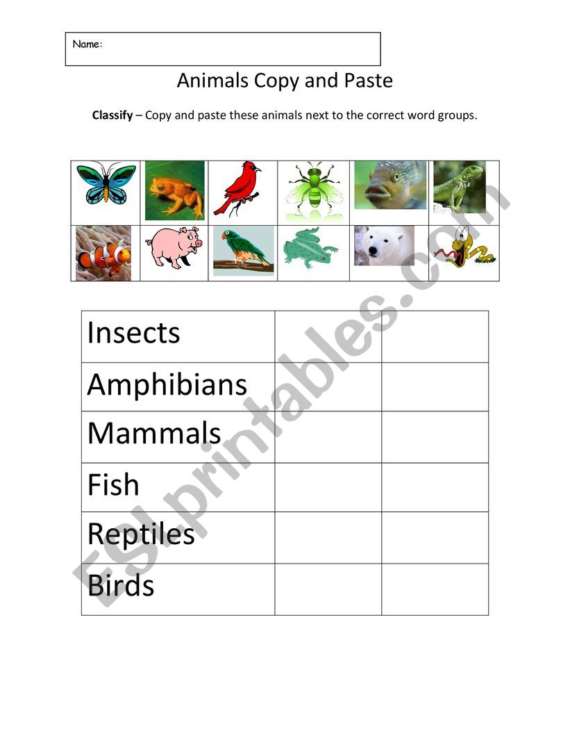 Animals classification worksheet