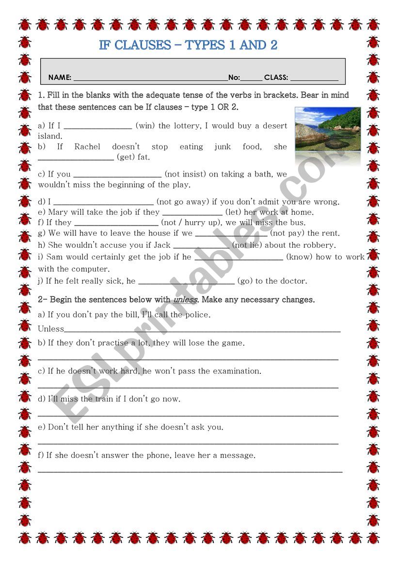 If-clauses-Type 1 and 2 worksheet