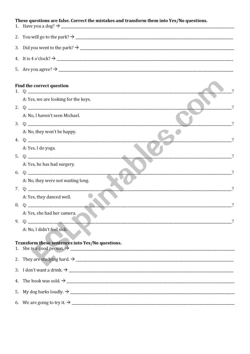 Yes No Questions test worksheet