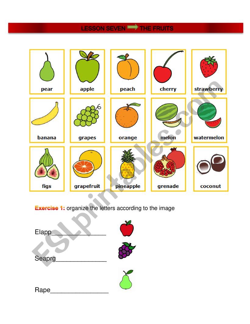 fruits  worksheet