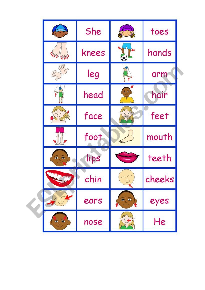 Dominos body worksheet