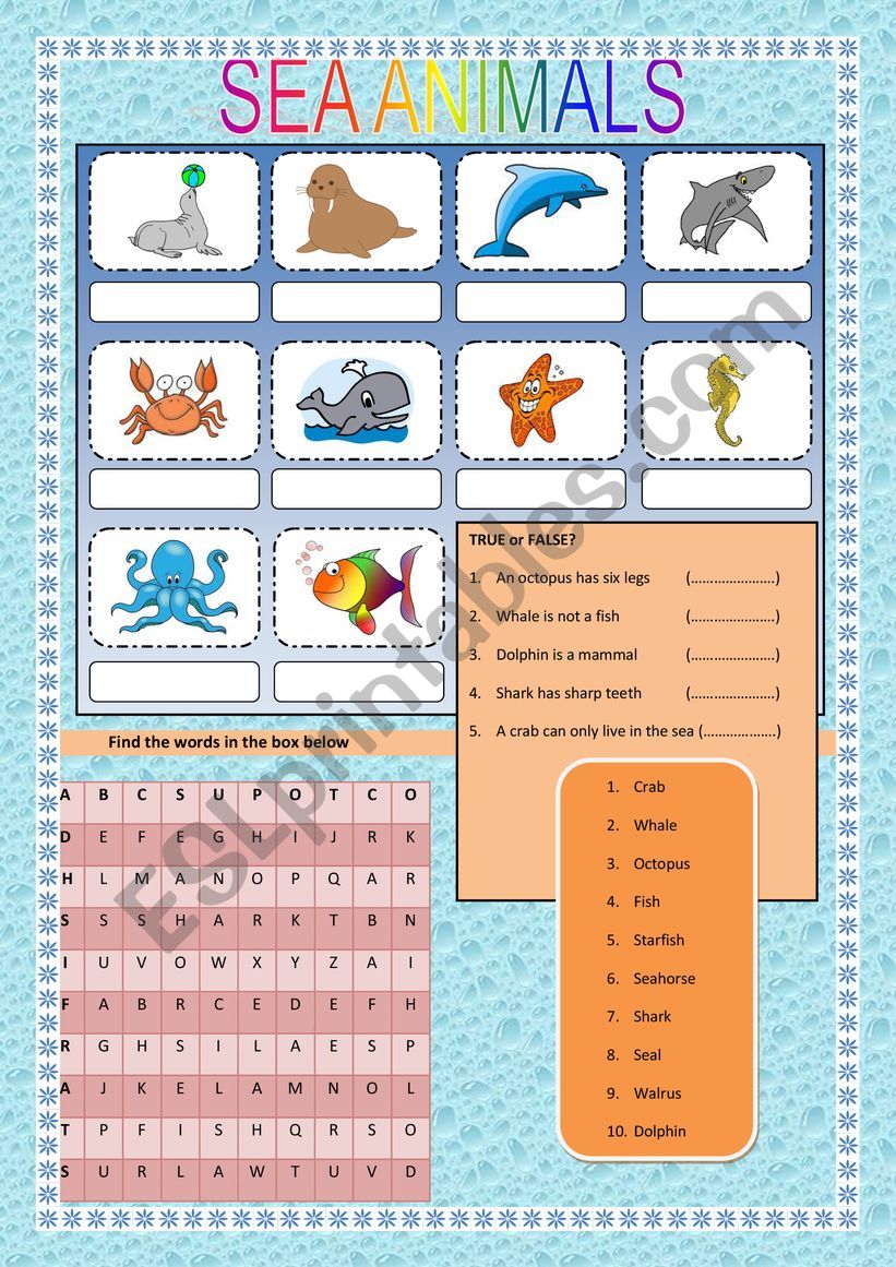 sea animal wordsearches worksheet