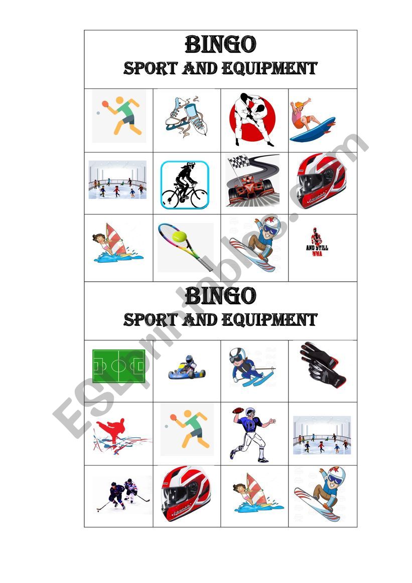 BINGO Sports and Equipment worksheet