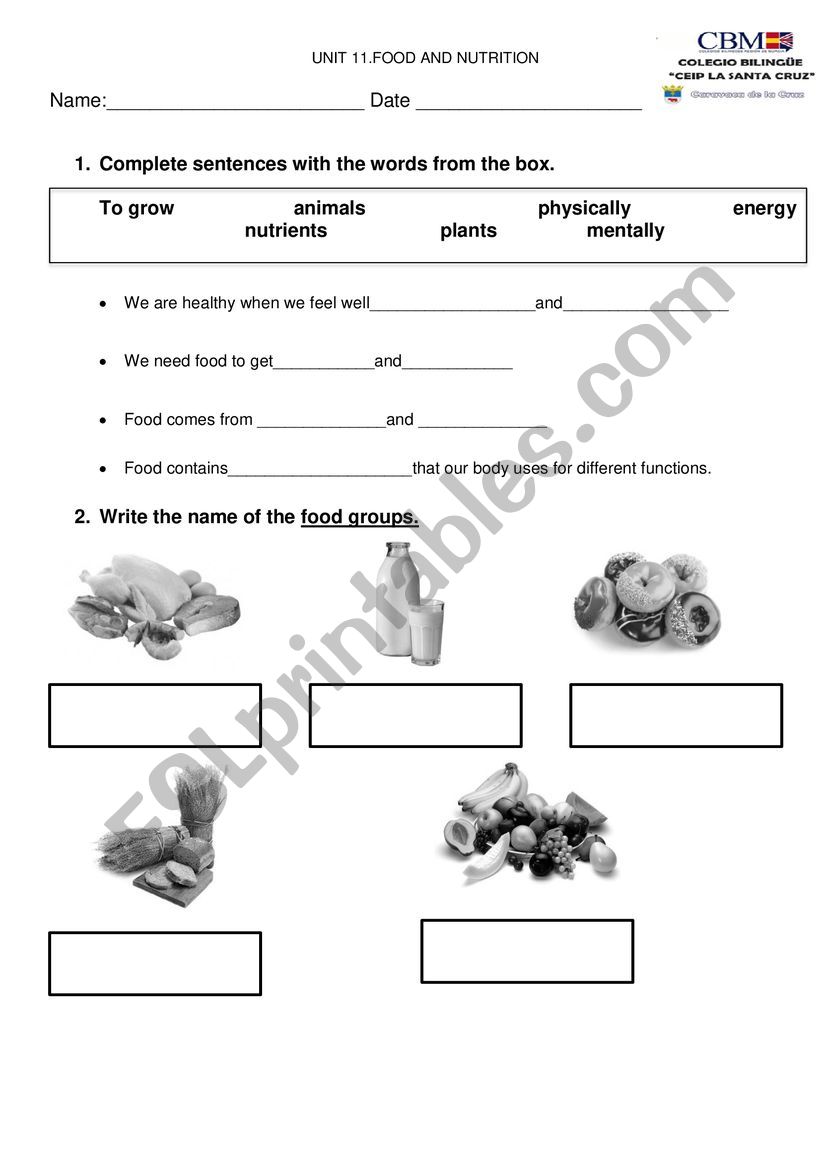 food and healthy habits worksheet