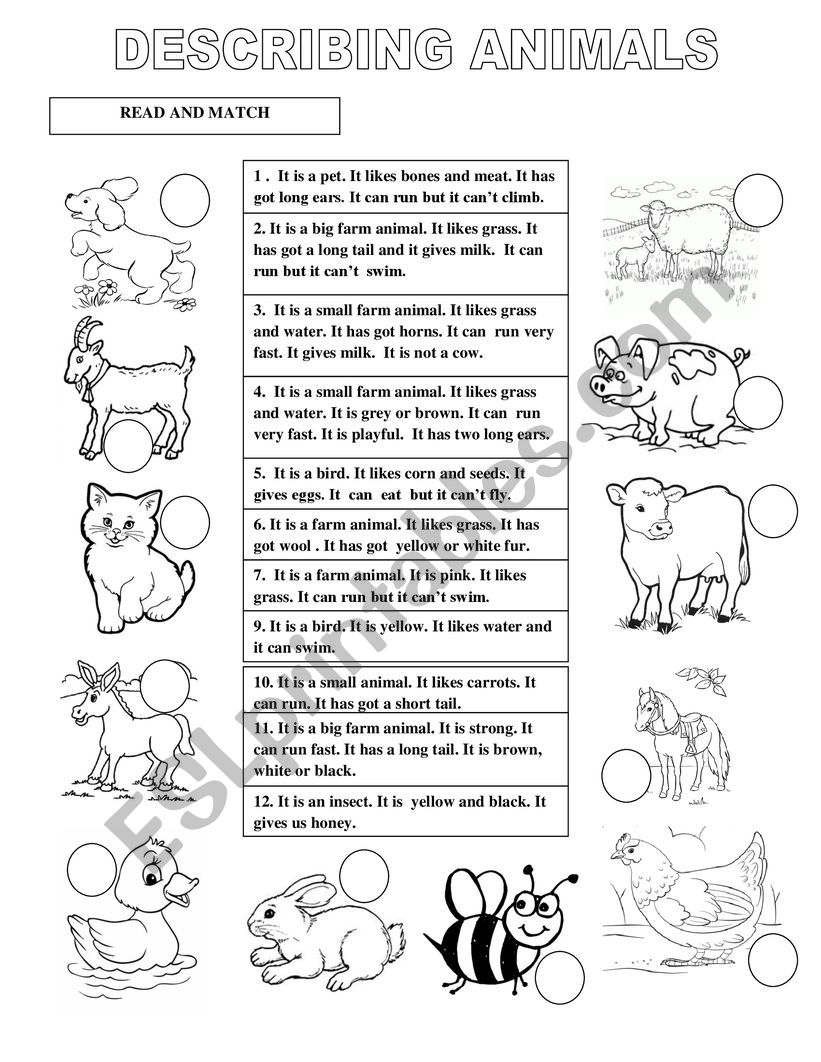 Describing farm animals. - ESL worksheet by nicolemoisin