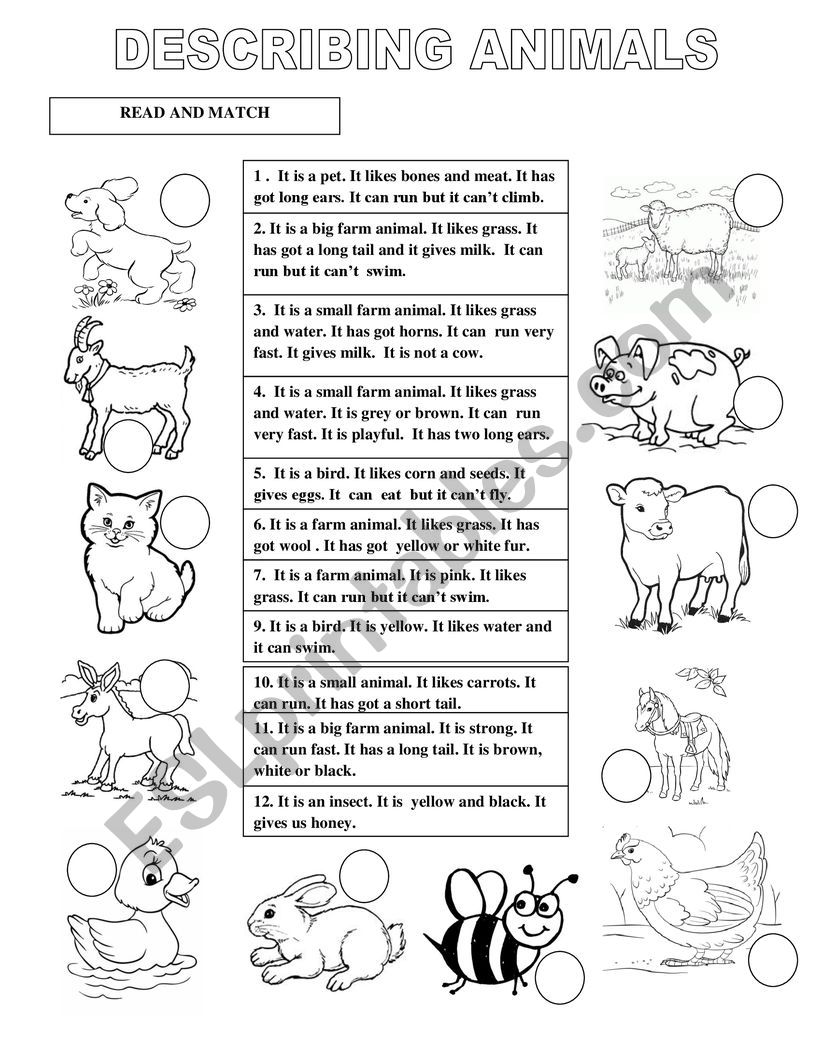 Describing farm animals.  worksheet