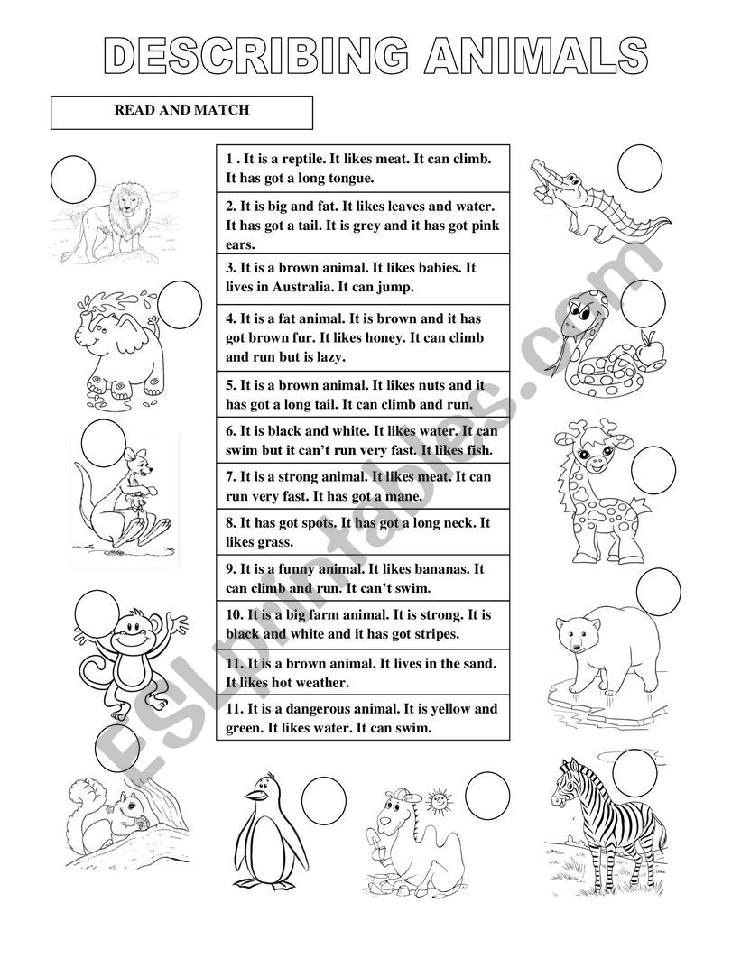 Describing wild animals.  worksheet