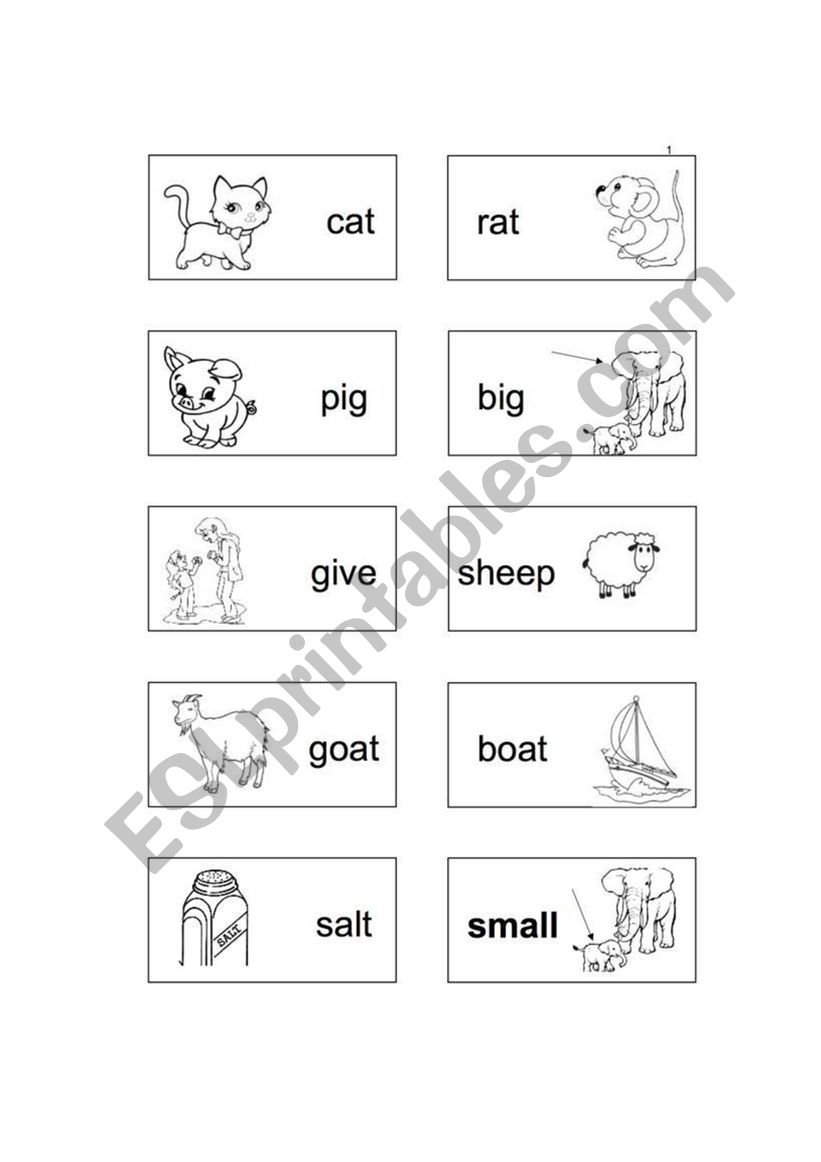 vocabulary worksheet